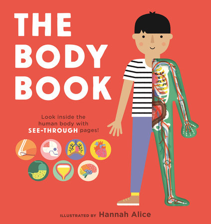 The Body Book Board Book by Illustrated by Hannah Alice