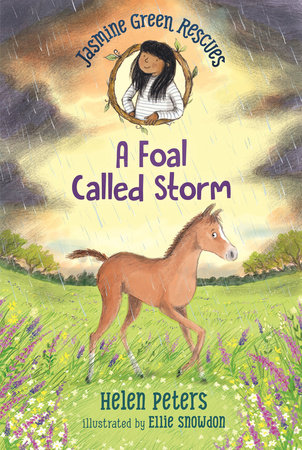 Jasmine Green Rescues: A Foal Called Storm TR by Helen Peters; Illustrated by Ellie Snowdon