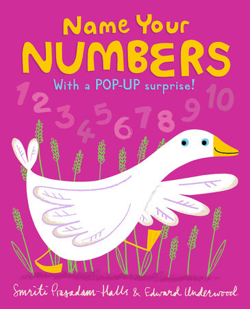 Name Your Numbers Board Book by Smriti Prasadam-Halls; Illustrated by Edward Underwood