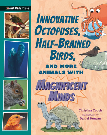 Innovative Octopuses, Half-Brained Birds, and More Animals with Magnificent Minds Hardcover by Christina Couch; illustrated by Daniel Duncan
