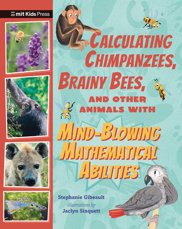 Calculating Chimpanzees, Brainy Bees, and Other Animals with Mind-Blowing Mathematical Abilities Hardcover by Stephanie Gibeault; illustrated by Jaclyn Sinquett