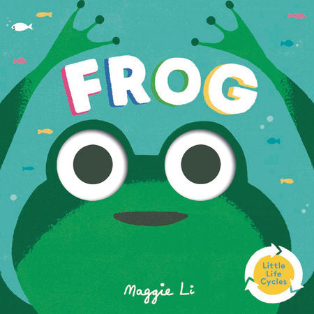 Frog Board Book by Maggie Li