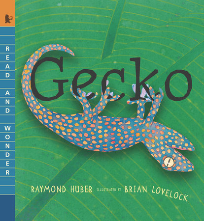 Gecko Paperback by Raymond Huber; Illustrated by Brian Lovelock