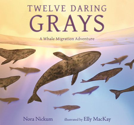 Twelve Daring Grays: A Whale Migration Adventure Hardcover by Nora Nickum; Illustrated by Elly MacKay