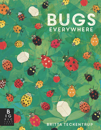 Bugs Everywhere Paperback by Lily Murray; illustrated by Britta Teckentrup