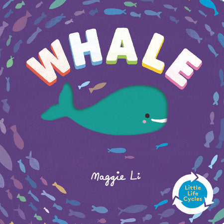 Whale Board Book by Maggie Li; illustrated by Maggie Li