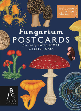 Fungarium Postcard Box Set Merchandise by Ester Gaya; illustrated by Katie Scott
