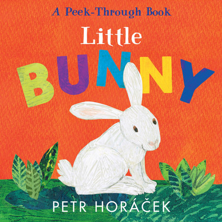 Little Bunny Board Book by Petr Horácek; illustrated by Petr Horácek