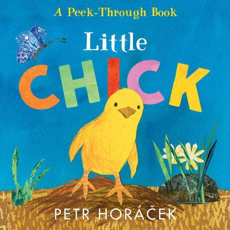 Little Chick Board Book by Petr Horácek; illustrated by Petr Horácek