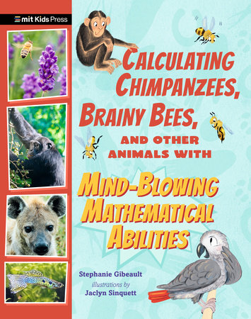 Calculating Chimpanzees, Brainy Bees, and Other Animals with Mind-Blowing Mathematical Abilities Paperback by Stephanie Gibeault; illustrated by Jaclyn Sinquett