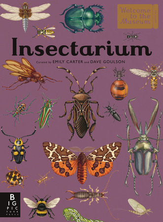 Insectarium Hardcover by Dave Goulson; Illustrated by Emily Carter