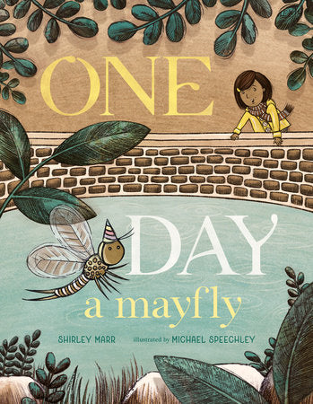 One Day a Mayfly Hardcover by Shirley Marr; illustrated by Michael Speechley