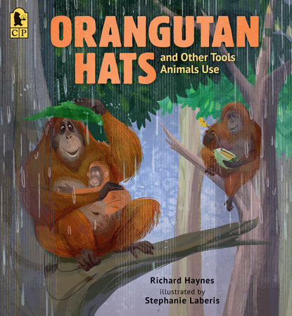 Orangutan Hats and Other Tools Animals Use Paperback by Richard Haynes; illustrated by Stephanie Laberis