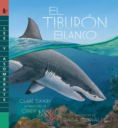 El tiburón blanco Paperback by Claire Saxby; Illustrated by Cindy Lane