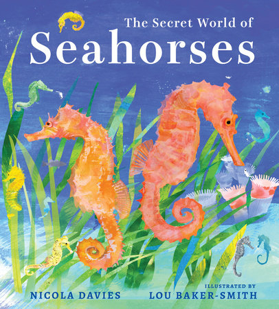 The Secret World of Seahorses Hardcover by Nicola Davies; Illustrated by Lou Baker-Smith