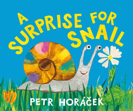 A Surprise for Snail Hardcover by Petr Horácek; Illustrated by Petr Horácek