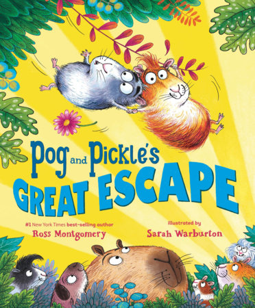 Pog and Pickle's Great Escape Hardcover by Ross Montgomery; Illustrated by Sarah Warburton