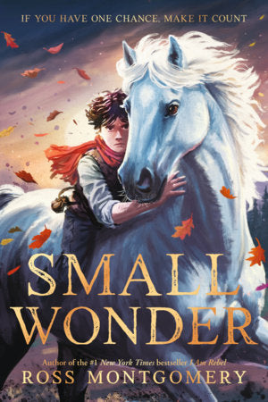 Small Wonder Paperback by Ross Montgomery
