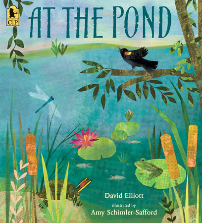 At the Pond Paperback by David Elliott; Illustrated by Amy Schimler-Safford