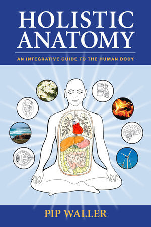 Holistic Anatomy Paperback by Pip Waller