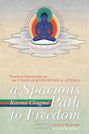 A Spacious Path to Freedom Paperback by Karma Chagme