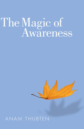 The Magic of Awareness Paperback by Anam Thubten