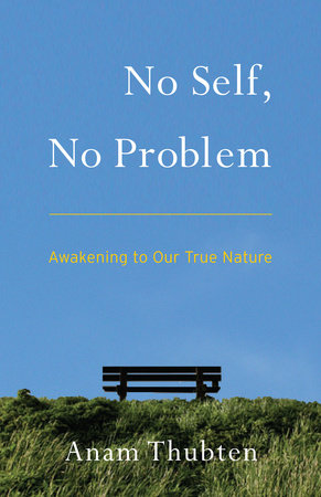 No Self, No Problem TR by Anam Thubten