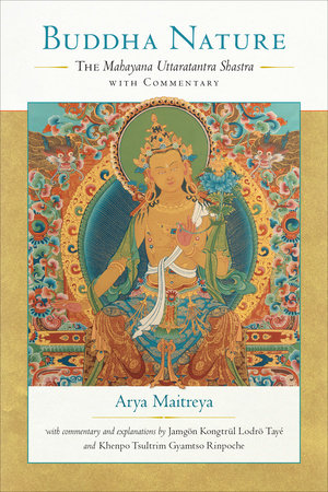 Buddha Nature Paperback by Maitreya