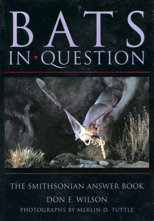 Bats in Question Paperback by Don E. Wilson