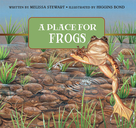 A Place for Frogs Paperback by by Melissa Stewart; illustrated by Higgins Bond