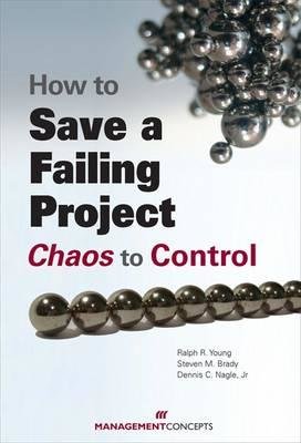 How to Save a Failing Project Paperback by Ralph R. Young, DBA, Steve M. Brady, PMP, & Dennis C. Nagle, Jr.