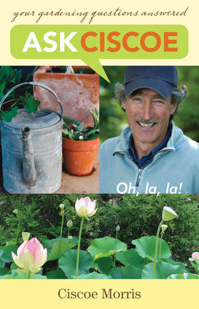 Ask Ciscoe Paperback by Ciscoe Morris