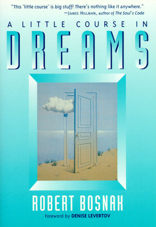 A Little Course in Dreams Paperback by Robert Bosnak