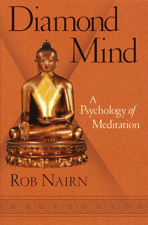 Diamond Mind Paperback by Rob Nairn