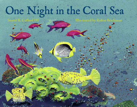 One Night in the Coral Sea Paperback by Sneed B. Collard III (Author); Robin Brickman (Illustrator)