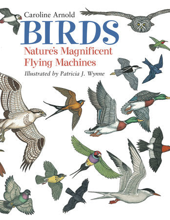 Birds Paperback by Caroline Arnold (Author); Patricia J. Wynne (Illustrator)