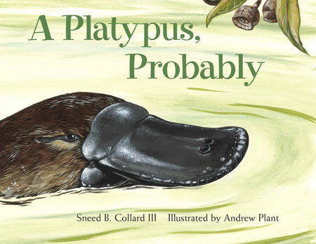 A Platypus, Probably Paperback by Sneed B. Collard III (Author); Andrew Plant (Illustrator)