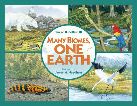 Many Biomes, One Earth Paperback by Sneed B. Collard III (Author); James M. Needham (Illustrator)