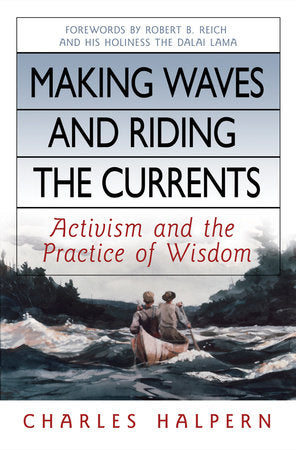Making Waves and Riding the Currents Hardcover by Charles Halpern