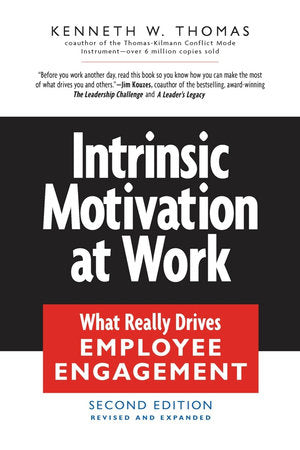 Intrinsic Motivation at Work Paperback by Kenneth W. Thomas