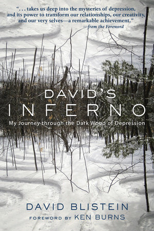 David's Inferno Paperback by David Blistein; Foreword by Ken Burns