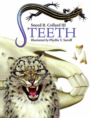Teeth Paperback by Sneed B. Collard III (Author); Phyllis V. Saroff (Illustrator)