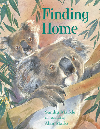Finding Home Paperback by Sandra Markle (Author); Alan Marks (Illustrator)