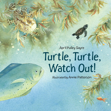 Turtle, Turtle, Watch Out! Paperback by April Pulley Sayre (Author); Annie Patterson (Illustrator)