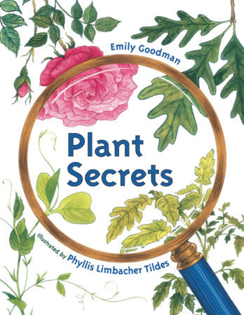 Plant Secrets Paperback by Emily Goodman (Author); Phyllis Limbacher Tildes (Illustrator)