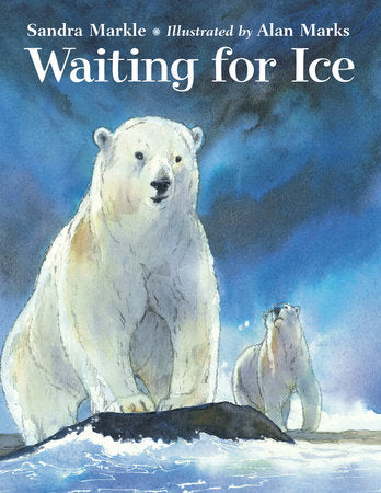 Waiting for Ice Hardcover by Sandra Markle (Author); Alan Marks (Illustrator)