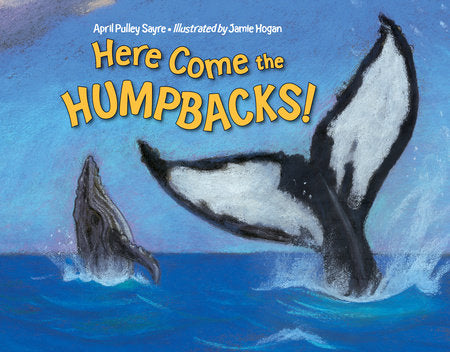 Here Come the Humpbacks! Paperback by April Pulley Sayre (Author); Jamie Hogan (Illustrator)