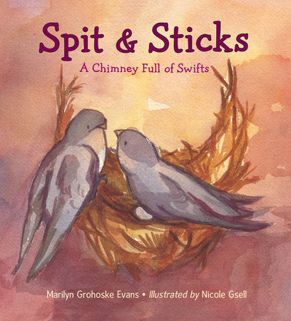 Spit & Sticks Hardcover by Marilyn Grohoske Evans (Author); Nicole Gsell (Illustrator)