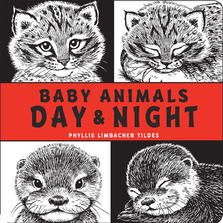 Baby Animals Day & Night Board Book by Phyllis Limbacher Tildes (Author/Illustrator)