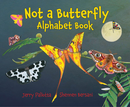 Not a Butterfly Alphabet Book TR by Jerry Pallotta (Author); Shennen Bersani (Illustrator)